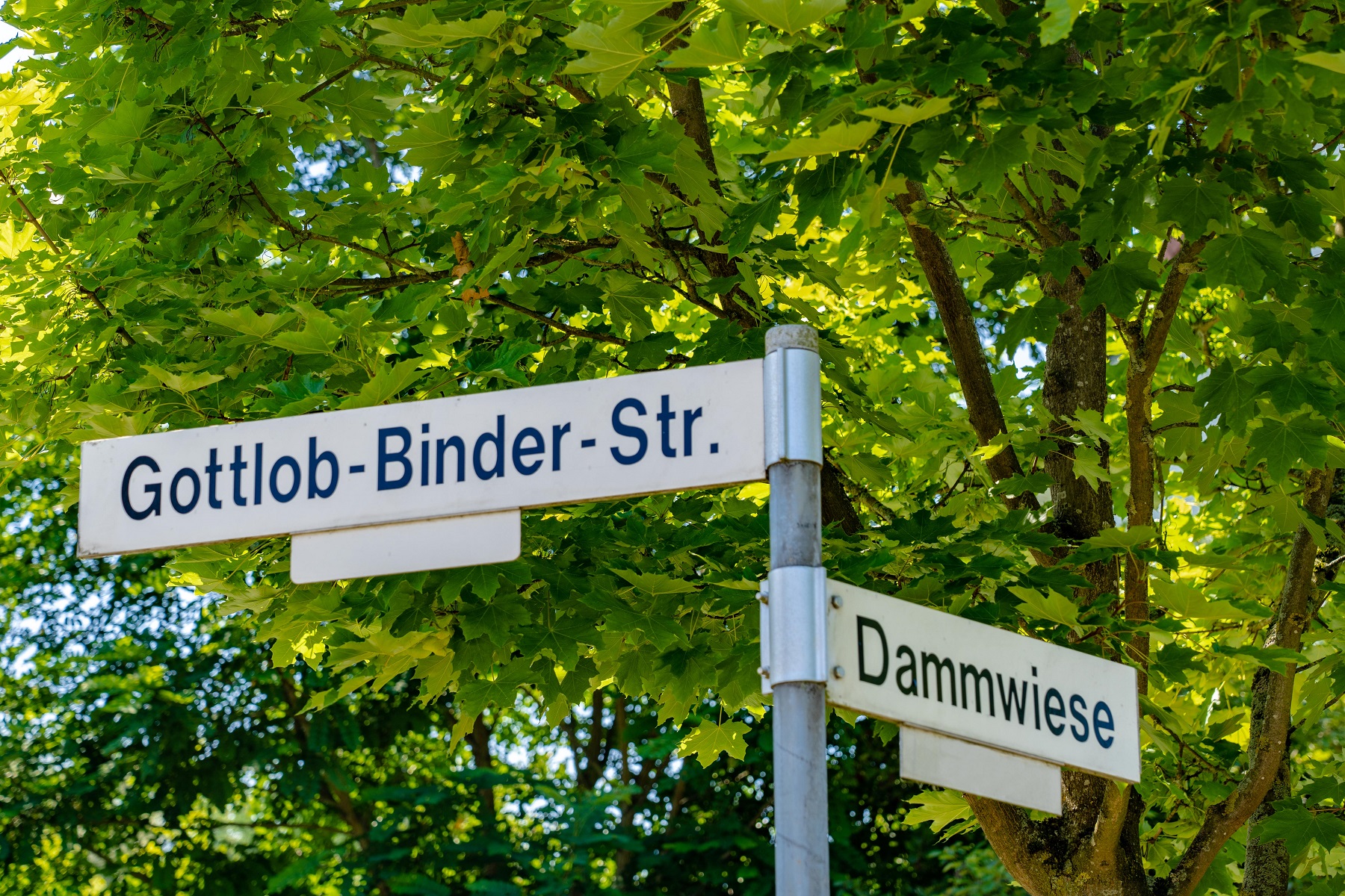 Gottlob-Binder-Straße